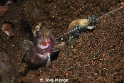 Flat Share by Jörg Menge 